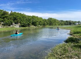 Kayaking on a river