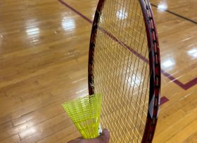 Wiffle ball racket and bird