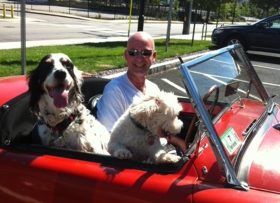 Treff riding red car with dog