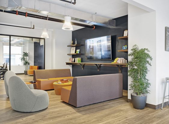 Lose It Sitting Area Plant