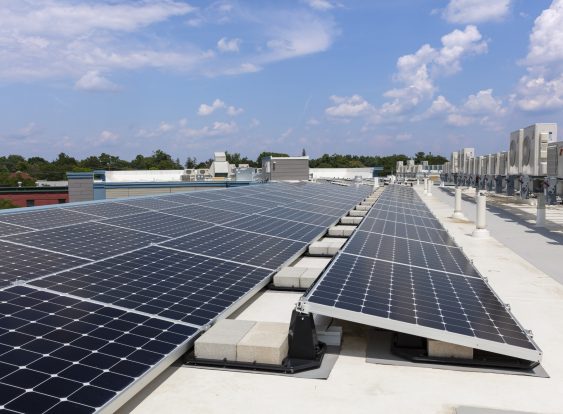 Live 155 roof solar panels