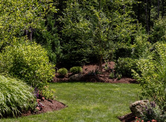 CSD Lake Life landscape