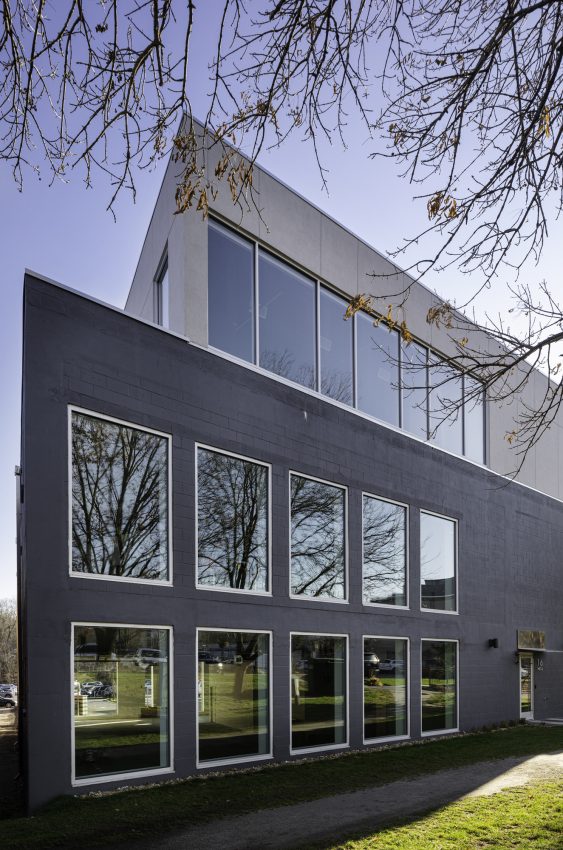 Mica Lane side exterior windows