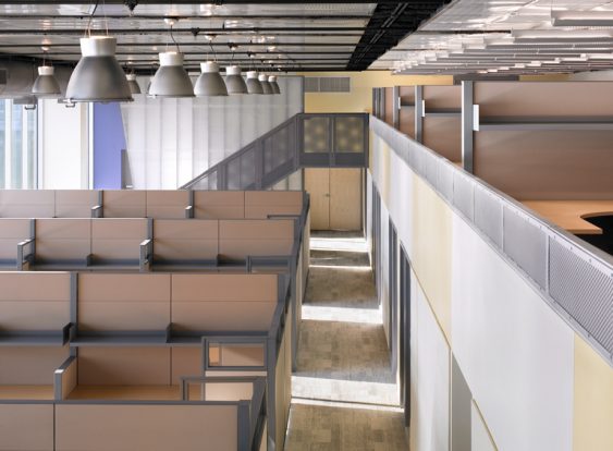 Museum of Science Golden belt